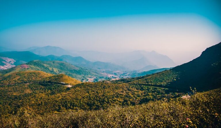 ସୌନ୍ଦର୍ଯ୍ୟର ରୂପକାର ଦେଓମାଳି